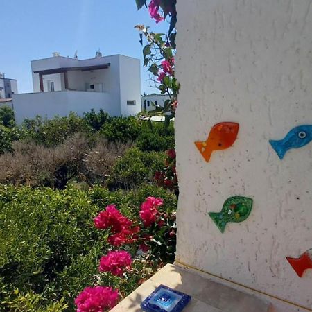 Rahat Ev Bodrum Dış mekan fotoğraf